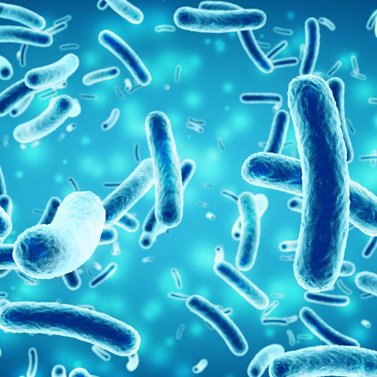 bacteria in a blue background Blue rod-shaped bacteria floating in a glowing environment.